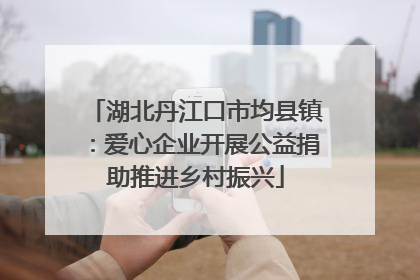 湖北丹江口市均县镇：爱心企业开展公益捐助推进乡村振兴