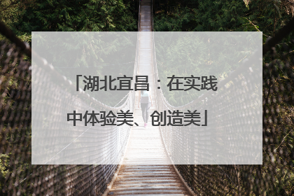湖北宜昌：在实践中体验美、创造美