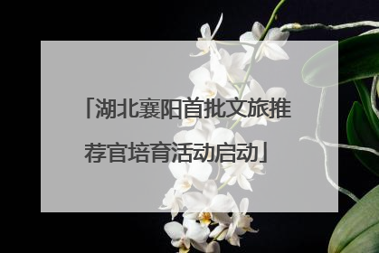 湖北襄阳首批文旅推荐官培育活动启动