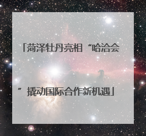 菏泽牡丹亮相“哈洽会”撬动国际合作新机遇