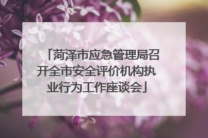 菏泽市应急管理局召开全市安全评价机构执业行为工作座谈会