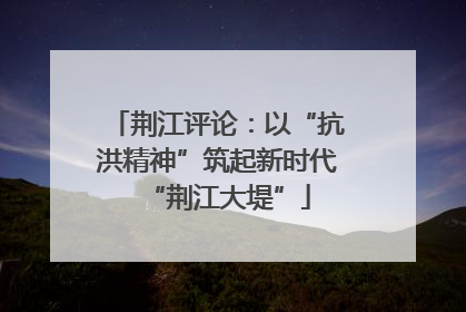 荆江评论：以“抗洪精神”筑起新时代“荆江大堤”