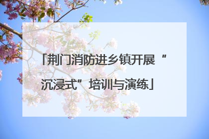 荆门消防进乡镇开展“沉浸式”培训与演练
