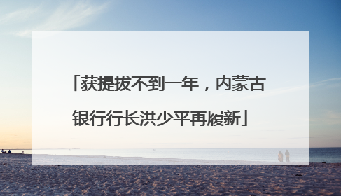 获提拔不到一年，内蒙古银行行长洪少平再履新