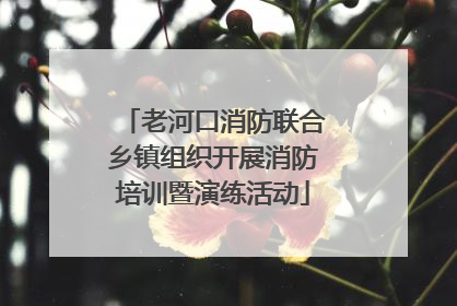老河口消防联合乡镇组织开展消防培训暨演练活动