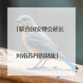 联合国安理会延长对南苏丹的制裁