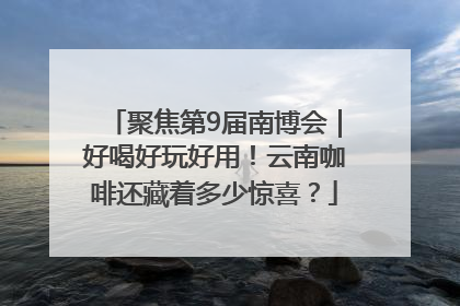 聚焦第9届南博会｜好喝好玩好用！云南咖啡还藏着多少惊喜？
