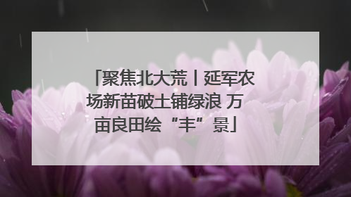聚焦北大荒丨延军农场新苗破土铺绿浪 万亩良田绘“丰”景