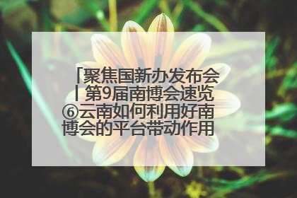 聚焦国新办发布会丨第9届南博会速览⑥云南如何利用好南博会的平台带动作用，深化与南亚国家的交流与合作？