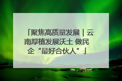 聚焦高质量发展｜云南厚植发展沃土 做民企“最好合伙人”