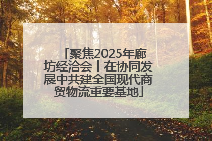 聚焦2025年廊坊经洽会丨在协同发展中共建全国现代商贸物流重要基地