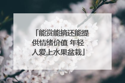 能赏能摘还能提供情绪价值 年轻人爱上水果盆栽