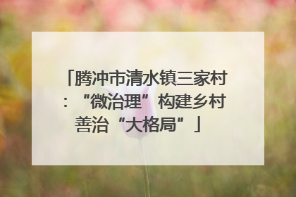 腾冲市清水镇三家村：“微治理”构建乡村善治“大格局”