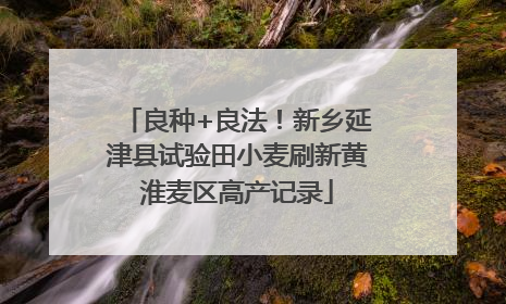 良种+良法！新乡延津县试验田小麦刷新黄淮麦区高产记录