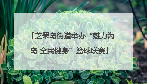 芝罘岛街道举办“魅力海岛 全民健身”篮球联赛
