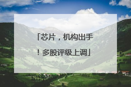 芯片，机构出手！多股评级上调