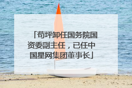 苟坪卸任国务院国资委副主任，已任中国星网集团董事长