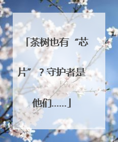 茶树也有“芯片”？守护者是他们……