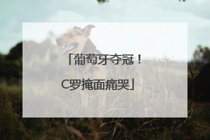 葡萄牙夺冠！C罗掩面痛哭