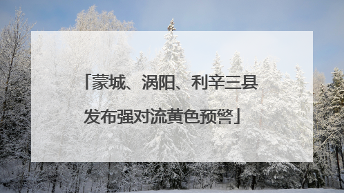 蒙城、涡阳、利辛三县发布强对流黄色预警