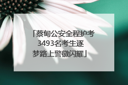 蔡甸公安全程护考 3493名考生逐梦路上警徽闪耀