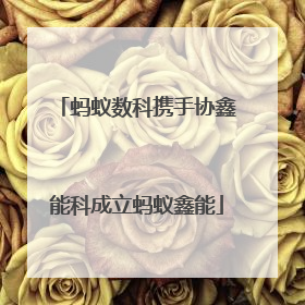 蚂蚁数科携手协鑫能科成立蚂蚁鑫能