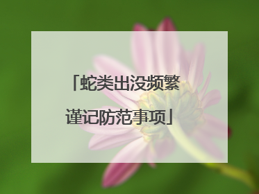 蛇类出没频繁 谨记防范事项