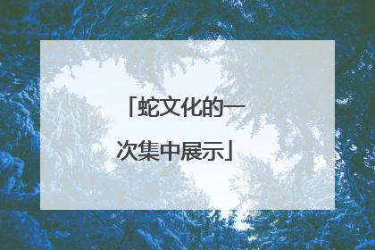 蛇文化的一次集中展示