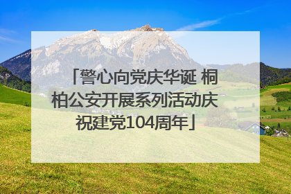 警心向党庆华诞 桐柏公安开展系列活动庆祝建党104周年