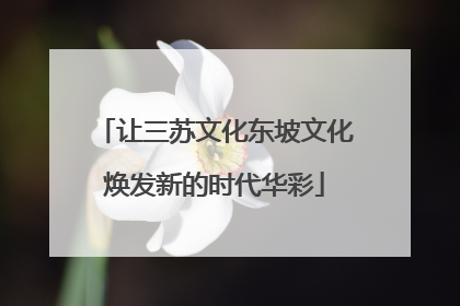 让三苏文化东坡文化焕发新的时代华彩
