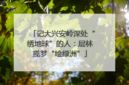 记大兴安岭深处“绣地球”的人：层林揽梦“绘绿洲”