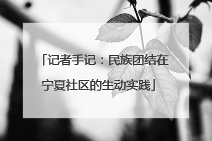 记者手记：民族团结在宁夏社区的生动实践