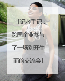 记者手记：跨国企业参与了一场别开生面的交流会