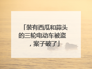 装有西瓜和蒜头的三轮电动车被盗，案子破了
