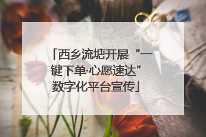 西乡流塘开展“一键下单·心愿速达”数字化平台宣传