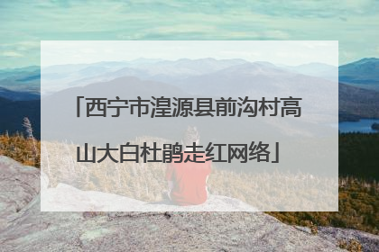 西宁市湟源县前沟村高山大白杜鹃走红网络