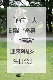 西宁：大熊猫“奇果”“园满”迎来9周岁生日会