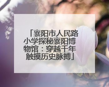 襄阳市人民路小学探秘襄阳博物馆：穿越千年触摸历史脉搏