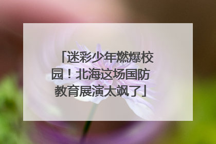 迷彩少年燃爆校园！北海这场国防教育展演太飒了