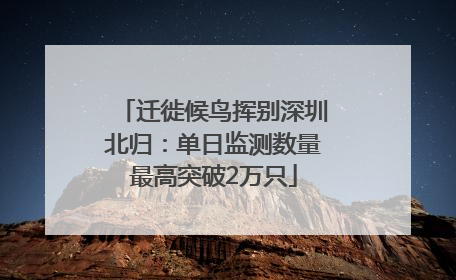 迁徙候鸟挥别深圳北归：单日监测数量最高突破2万只