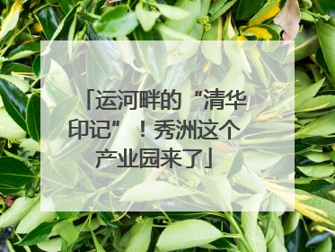 运河畔的“清华印记”！秀洲这个产业园来了