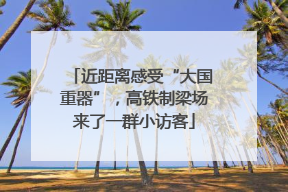 近距离感受“大国重器”，高铁制梁场来了一群小访客