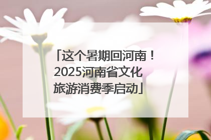 这个暑期回河南！2025河南省文化旅游消费季启动