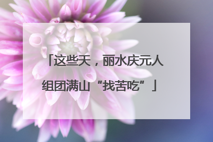 这些天，丽水庆元人组团满山“找苦吃”