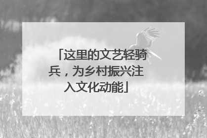 这里的文艺轻骑兵，为乡村振兴注入文化动能