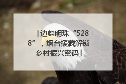 边疆明珠“5288”，烟台援藏解锁乡村振兴密码
