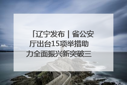 辽宁发布｜省公安厅出台15项举措助力全面振兴新突破三年行动决胜之战