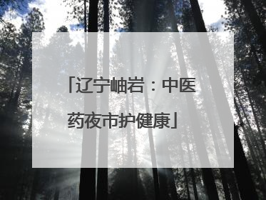 辽宁岫岩：中医药夜市护健康