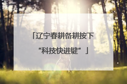 辽宁春耕备耕按下“科技快进键”