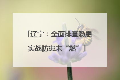 辽宁：全面排查隐患 实战防患未“燃”